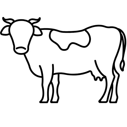 placement-elevage-bovin