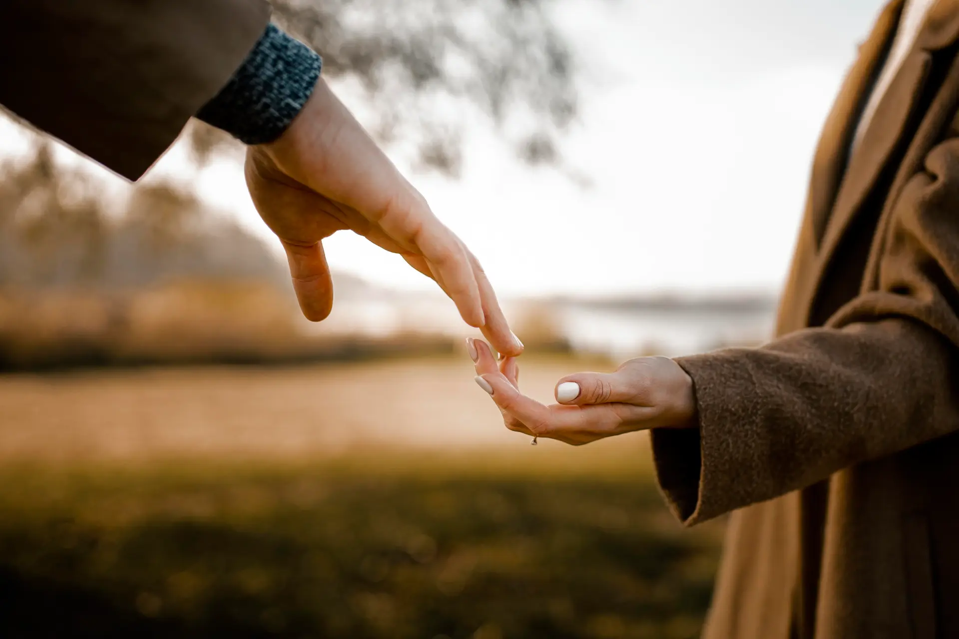 Donation ou succession : comparatif complet pour bien transmettre son patrimoine